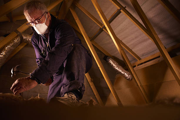 Best Insulation Inspection Services  in Koloa, HI